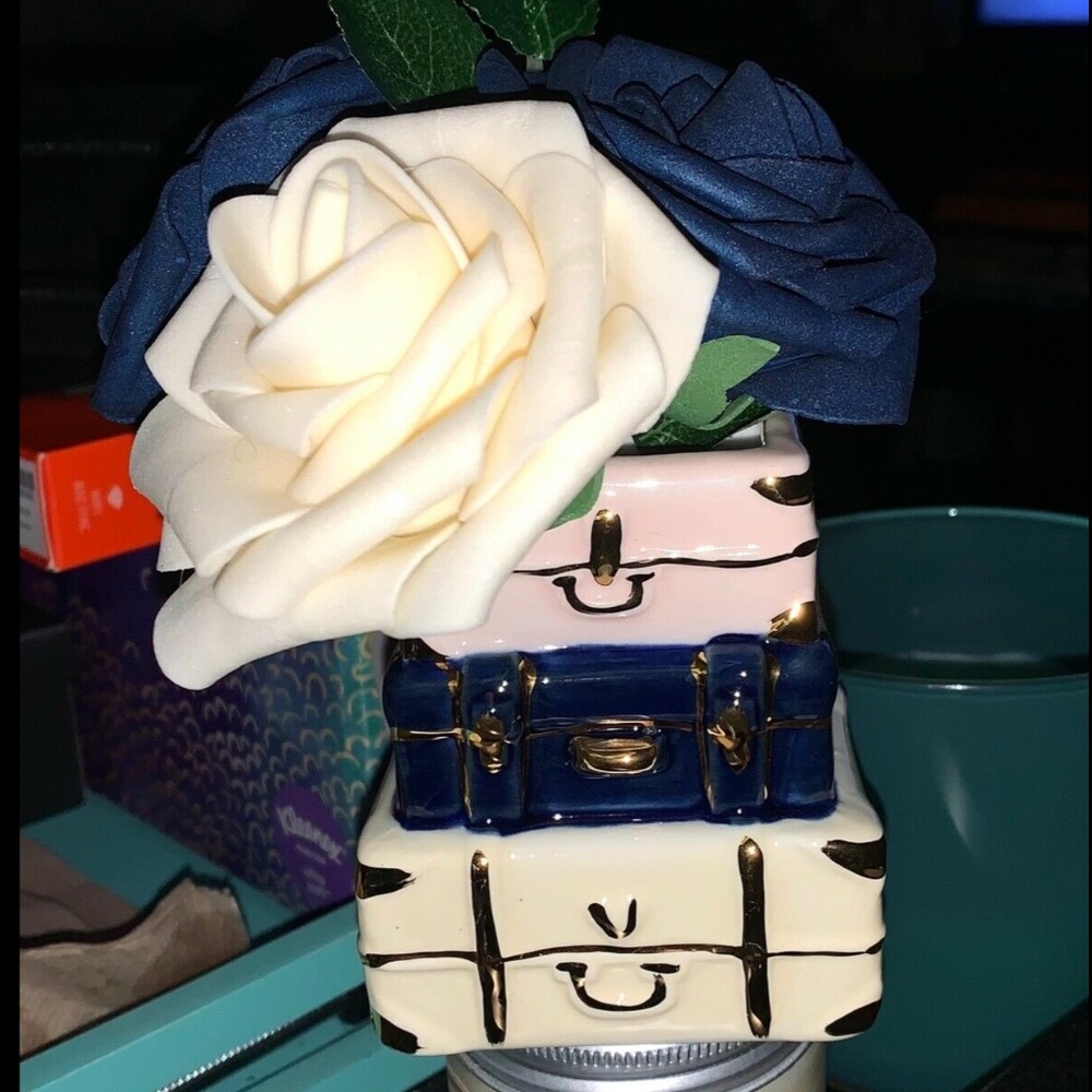 Kate Aspen Ceramic Suitcase Budvase & Lings Moments Roses